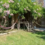 Deltaprego * Deltebre